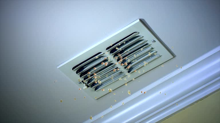 Best Air Duct Sanitizing Services  in Holiday Valley, OH